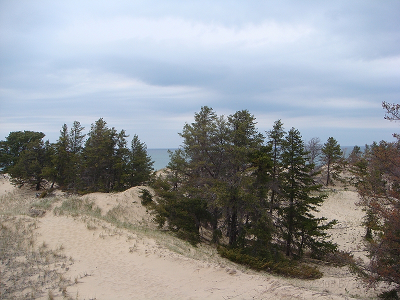 367 Memorial Day [2008 May 23].JPG - Scenes from Whitefish Point on Lake Superior in the Michigan Upper Peninsula.